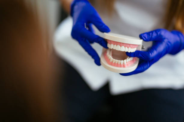 Why Choose Us for Your Dental Needs in Oak Park Heights, MN